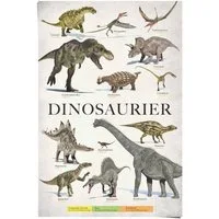 Reinders! Poster Dinosaurier, (1 St)