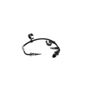 Bosch Abgastemperatursensor Iveco Daily 6
