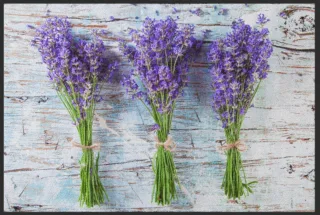 Fussmatte Lavendel 4641 | Größe: 60 cm x 45 cm