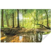 Wallarena Fototapete Wald Sonne - Mehrfarbig - Modern - Vlies - Wohnzimmer, glatt, 208x146cm