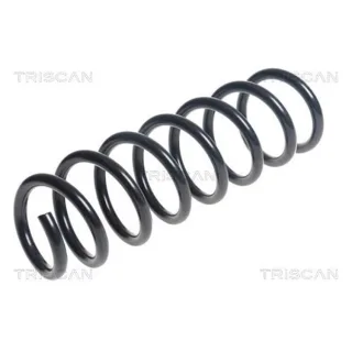Triscan Feder vorne BMW 5er F10 875011175