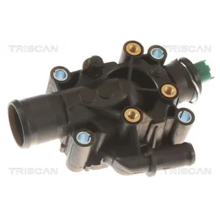 Triscan Thermostat Citroen Peugeot 862025291