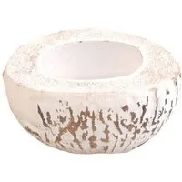 Deko AS Dekoschale Kokosnuss - Tropical White - ø ca. 14-16 cm - 7155-02