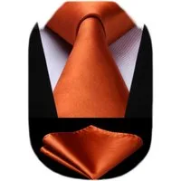 LuxusKollektion Krawatte Extra lange Einfarbig Orange Herren Krawatte Set mit Taschentuch