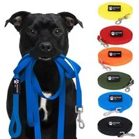 Reichstadt Hundeleine RS Pets Führleine Texturierte PVC 25RSP085, PVC, Weiche Handschlaufe mit Soft-Wrist-Strap
