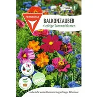 FRANKONIA Blumensamen Balkonzauber, niedrige Sommerblumen Saatband Blumenmischung Saatgut
