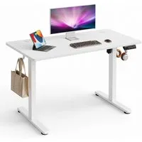 DEVAISE Schreibtisch Höhenverstellbarer Schreibtisch elektrisch 100×60 cm (Höhenverstellung 72–118 cm, Memory-Funktion für 3 Höhen, leise