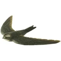 Wildlife Garden Dekoobjekt Dekovogel Mauersegler