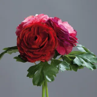 20 cm