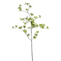 Kunstzweig Dekozweig Hartriegel SAMAY, grün, 115cm Kapuzinerkresse (Pracht-Kapuzinerkresse), artplants, Höhe 115.0 cm