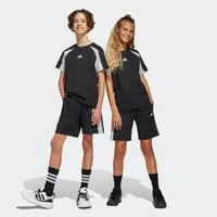 adidas Sportswear Shorts SEASONAL ESSENTIALS COLORBLOCK KIDS