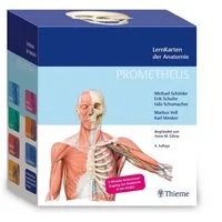 PROMETHEUS LernKarten der Anatomie / Michael Schuenke, Erik Schulte, Udo Schumacher