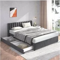 Flieks Polsterbett, Samt Stauraumbett mit 2 Schubladen 180x200cm