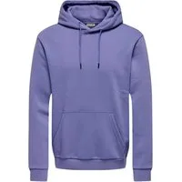 ONLY & SONS Kapuzensweatshirt ONSCERES HOODIE SWEAT NOOS Baumwollmischung, regular fit