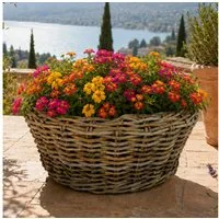 Van der Leeden Blumentopf 56x23cm Rattan Sylter Korb Drypot 31L (Stück, 1 St., Packung), Indoor & Outdoor, Rattan, 31 L, Naturprodukt, incl. Kunststoffeimer