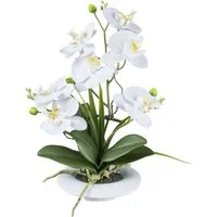 Kunstorchidee Orchidee Phalaenopsis, Creativ green, Höhe 41 cm, in außergewöhnlicher Keramikschale