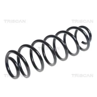Triscan Feder hinten Citroen C4 Ds4 875028240