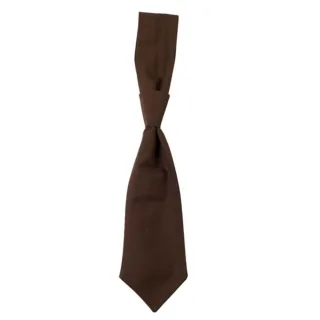 CG Workwear - "Messina" Krawatte (Toffee)
