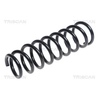 Triscan Feder hinten Mitsubishi Outlander 875042113