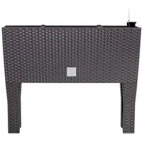 Prosperplast Pflanzkübel Rato case high, BxTxH: 60x25x46 cm