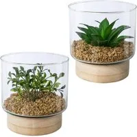 Kunstpflanze Sukkulenten im Glasgefäß, Creativ green, Höhe 12,5 cm, mit 2 verschiedenen Sukkulenten
