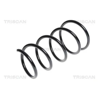 Triscan Feder vorne Renault Twingo 2