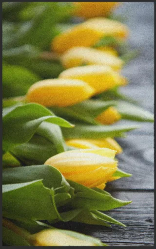 Fussmatte Tulpen 7291 | Größe: 60 cm x 90 cm