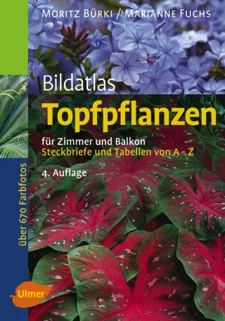 Bildatlas Topfpflanzen für Zimmer und Balkon: Steckbriefe und Tabellen von A - Z (Bildatlanten)