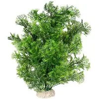 Europet-Bernina Aquariendeko Aquariumpflanze Phoenix dunkelgrün