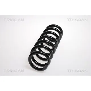 Triscan Feder Vorne Suzuki Grand Vitara 2,0