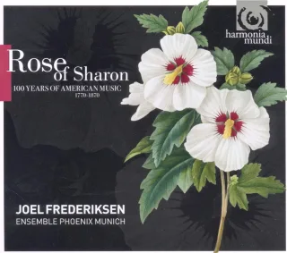 Rose of Sharon