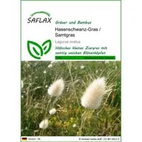 SAFLAX Blumensamen SAFLAX - Samen - Hasenschwanz-Gras / Samtgras