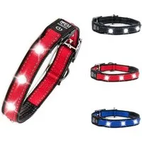 Petsation Hunde-Halsband Leuchthalsband für Hunde [Das Original] Leuchtendes LED Hundehalsband