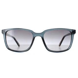 Ted Baker TB1529 Farley 625 taubenblau blau grau Sonnenbrille mit Farbverlauf