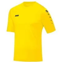 Jako Fußballtrikot Team KA Trikot (1-tlg) default