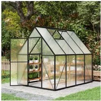 FIVMEN Gewächshaus ALU mit Fundament rostfrei BxTxH: 180 x 230 x 195 cm, Premium Gartengewächshäuser Aluminium mit 6 cm Fundament