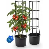 BigDean Pflanzkübel Tomatentopf mit Rankhilfe XL (Set, 2 St., Tomatentopf + Rankhilfe), Integrierter Wasserspeicher, Modulares Rankgitter, Wiederverwendbar