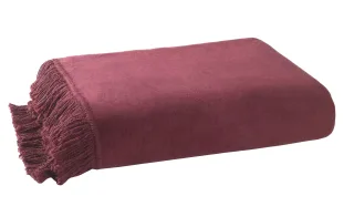 Rot