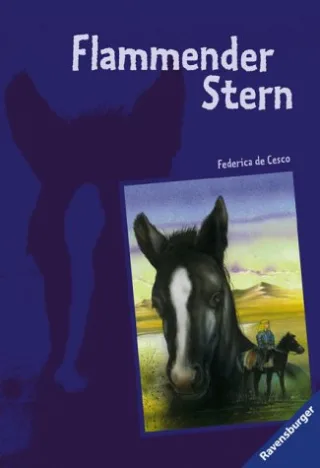 Flammender Stern