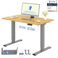FLEXISPOT Schreibtisch Basic Plus höhenverstellbarer Schreibtisch mit Premium-Zubehör-Set (2 Motore & 2-Fach-Teleskop & 4 Höhenspeichertasten), MIT 25MM einteiliger Tischplatte, 120/140/160/180
