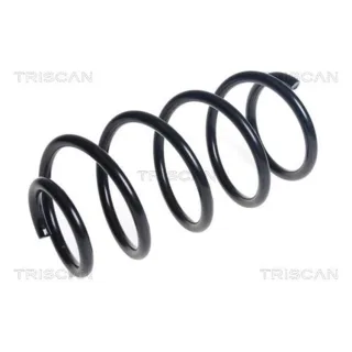 Triscan Feder vorne Ford Tourneo Transit 875016151