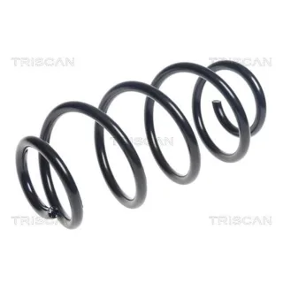 Triscan Feder hinten Mercedes B-Klasse Cla 875023186