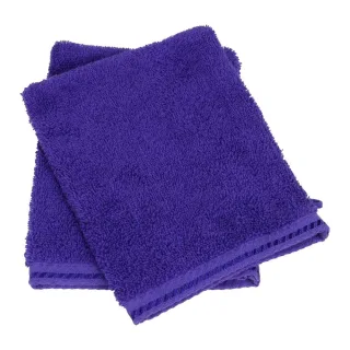 ARTG - Waschhandschuhe (Violett)