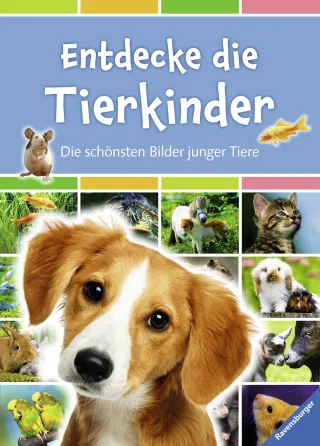 Entdecke die Tierkinder: Die schönsten Bilder junger Tiere [Gebundene Ausgabe] [2014] Figueras Emmanuelle Royer Anne Leck-Frommknecht Hannelore