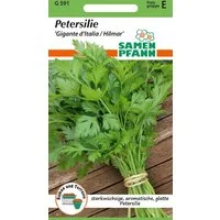 SAMEN PFANN Kräutersamen Petersilie, Gigante d`Italia Hilmar Gewürz Petersilien-Samen, Petroselinum crispum