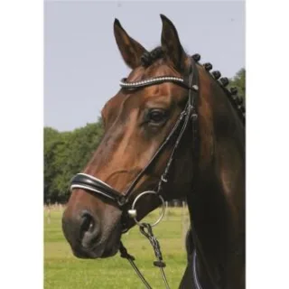 Hans Melzer Horse Equipment Hans Melzer Trense Valluhn schwarz/silber hannoversches Reithalfter weiß unterlegt Pony