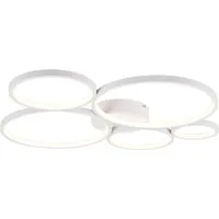 TRIO Leuchten LED Deckenleuchte Rondo, Dimmfunktion, LED fest integriert, Warmweiß, Decken- oder Wandlampe, LED warmweiß 3000K dimmbar per Wandschalter