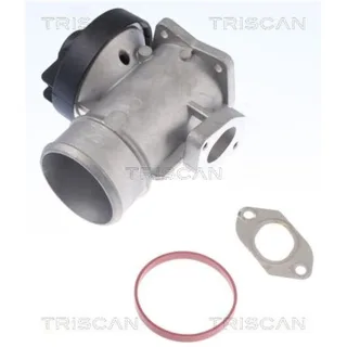 Triscan AGR-Ventil Mercedes A-Klasse Vaneo 1,7