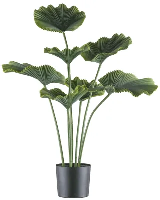 Kunstpflanze Strahlenpalme