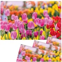 matches21 HOME & HOBBY Platzset Abwaschbare Tischsets 4er Set Sommer Tulpen Blumen pink, (4-St), Platzsets als Tisch-Untersetzer und Tisch-Deko für Esstisch Teller